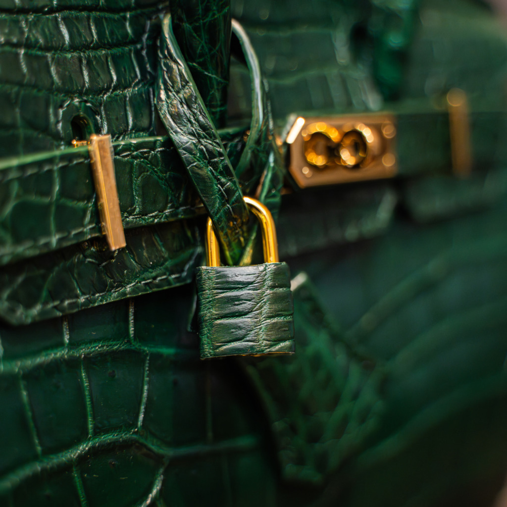 Santos Birkin Crocodile Leather - Green - Image 4